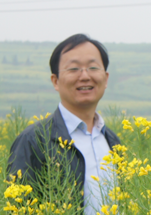 李强