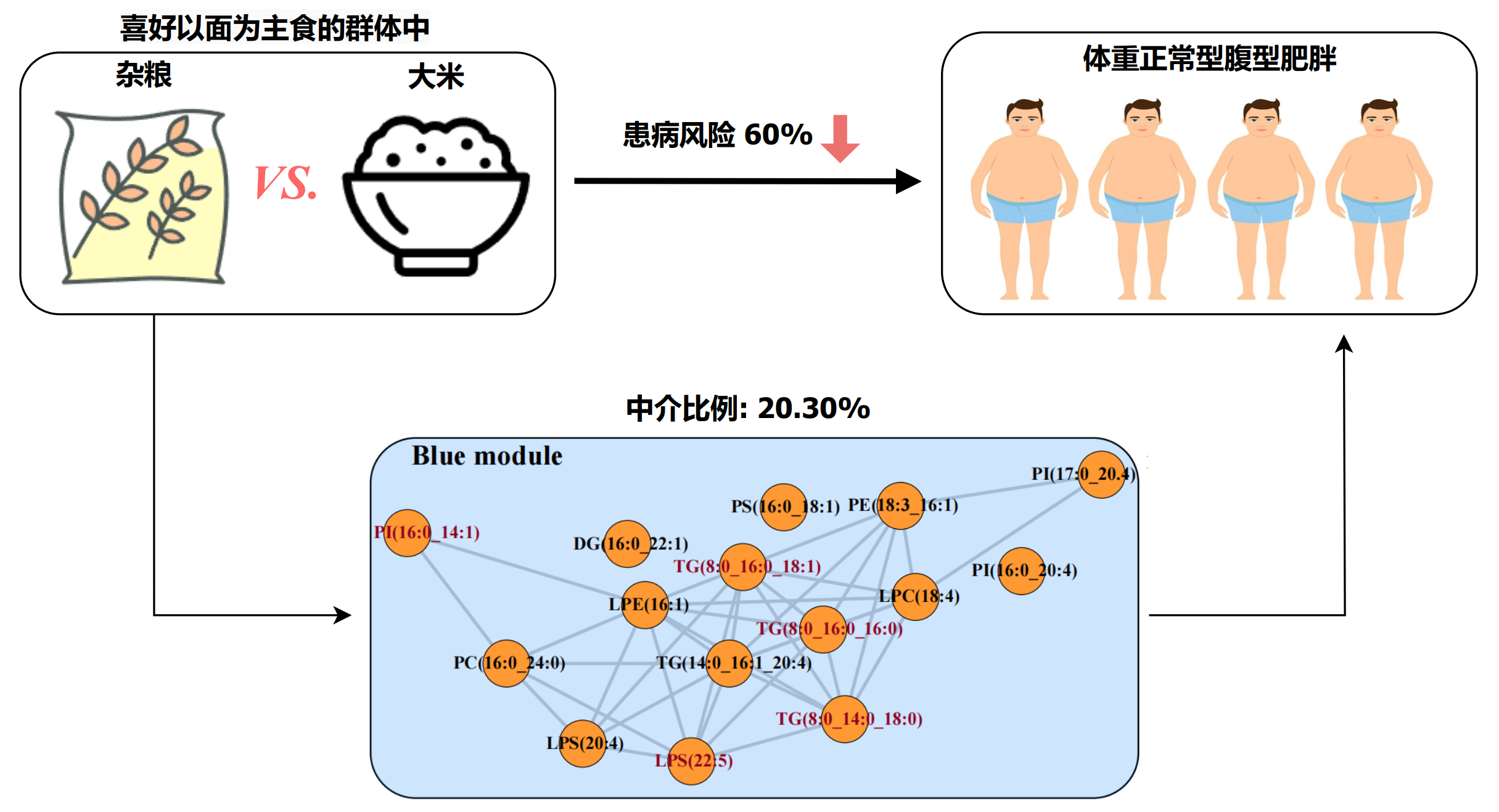 西北队列研究发现：面食为主的群体中，偏爱杂粮与体重正常的中心肥胖负相关